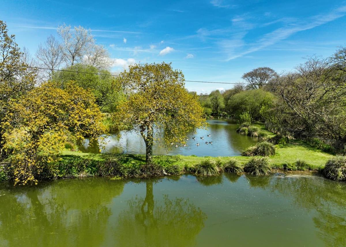 Meadow Lakes Holiday Park St Austell Kültér fotó